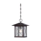 Satco Nuvo Vega, 1 light, Outdoor Hanging Fixture with Clear Seed Glass