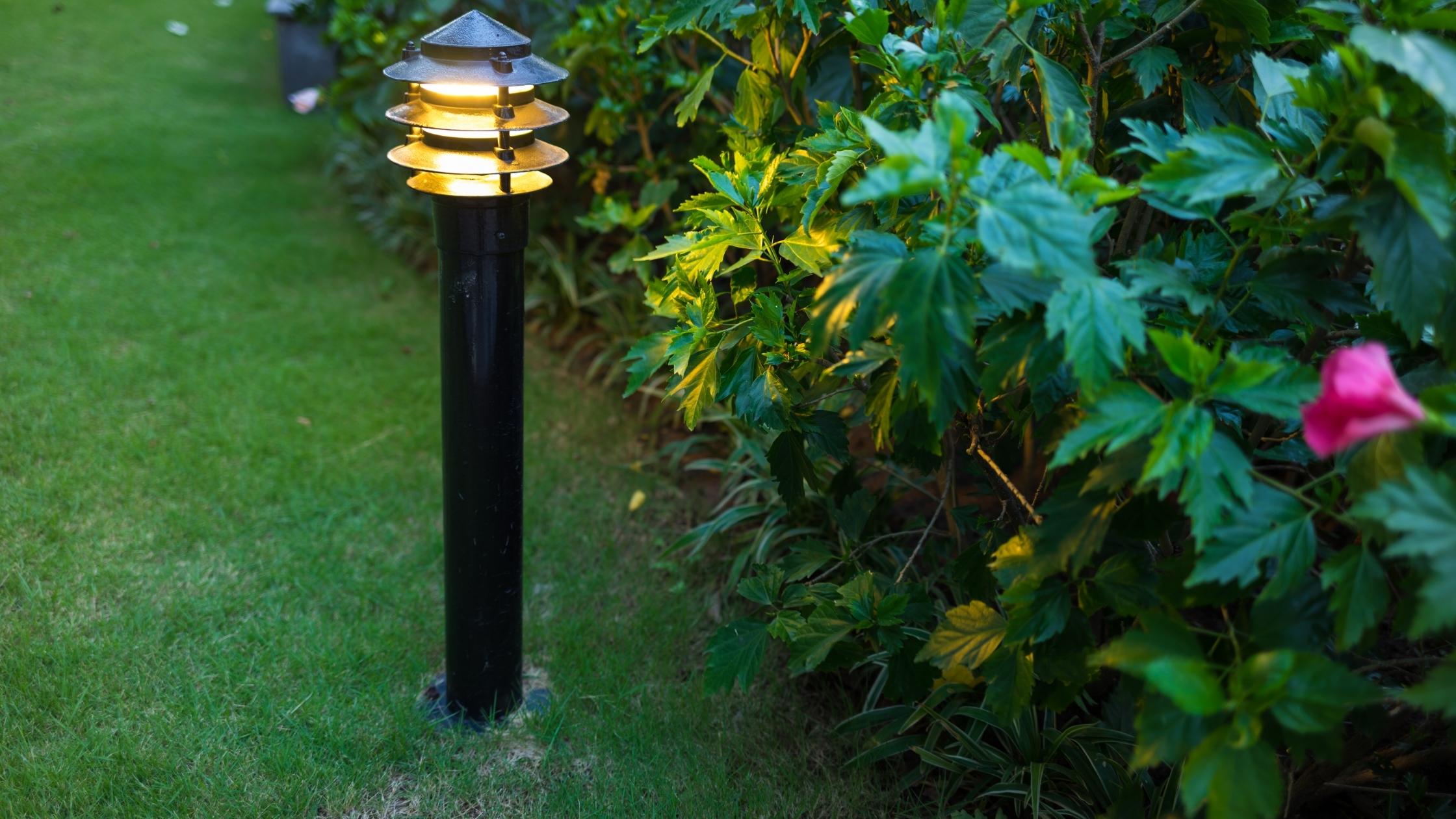 how to best use landscape lighting